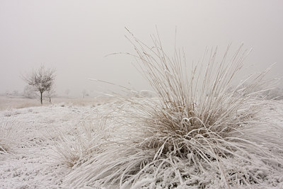 BUITEN BEELD Foto: 104426