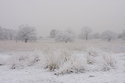 BUITEN BEELD Foto: 104427