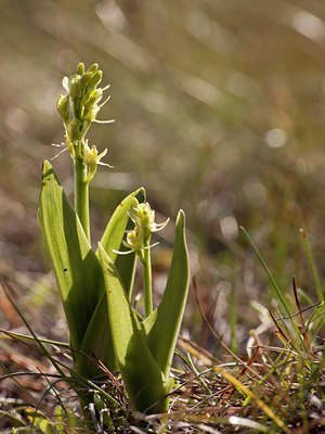 BUITEN BEELD Foto: 104454