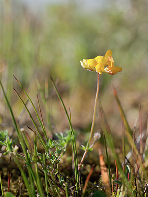 BUITEN BEELD Foto: 104459