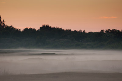 BUITEN BEELD Foto: 104461