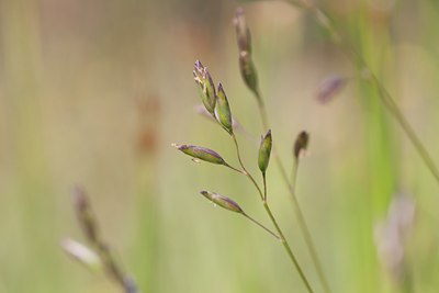 BUITEN BEELD Foto: 104524