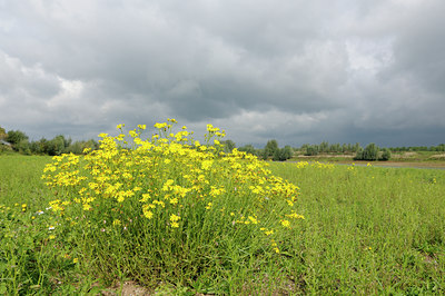 BUITEN BEELD Foto: 104552