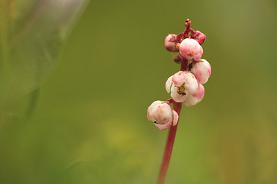 BUITEN BEELD Foto: 104600