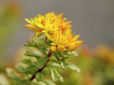 BUITEN BEELD Foto: 104724