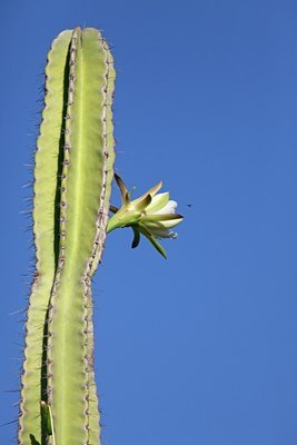 BUITEN BEELD Foto: 104744