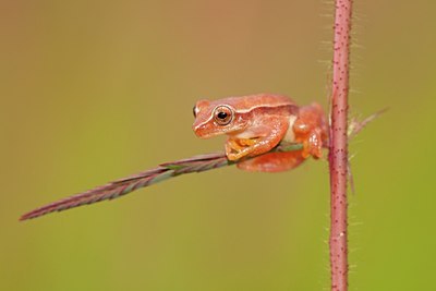 BUITEN BEELD Foto: 104846