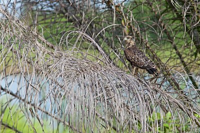 BUITEN BEELD Foto: 104924