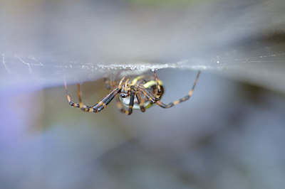 BUITEN BEELD Foto: 104994