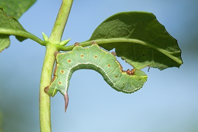 BUITEN BEELD Foto: 105012