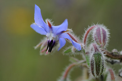 BUITEN BEELD Foto: 105045