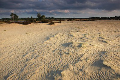 BUITEN BEELD Foto: 105094