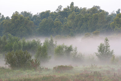 BUITEN BEELD Foto: 105100