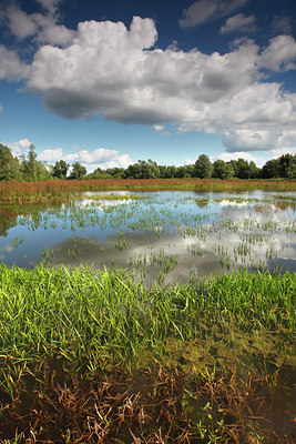 BUITEN BEELD Foto: 105102