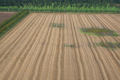 BUITEN BEELD Foto: 105121