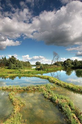 BUITEN BEELD Foto: 105137