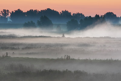 BUITEN BEELD Foto: 105157