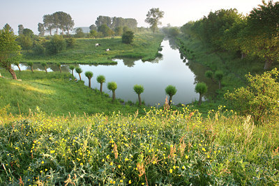 BUITEN BEELD Foto: 105161