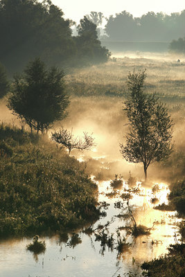 BUITEN BEELD Foto: 105169