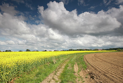 BUITEN BEELD Foto: 105175