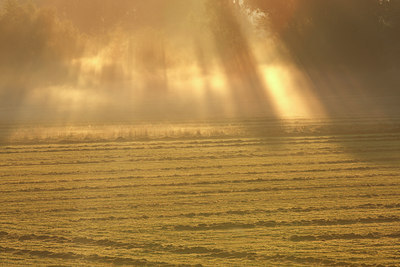 BUITEN BEELD Foto: 105195