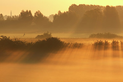 BUITEN BEELD Foto: 105199