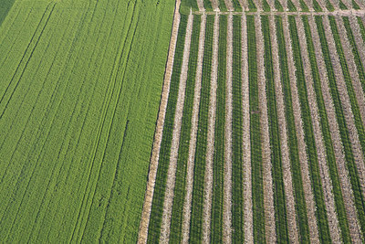 BUITEN BEELD Foto: 105203