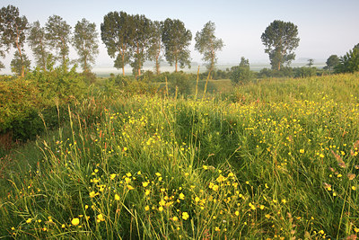 BUITEN BEELD Foto: 105212