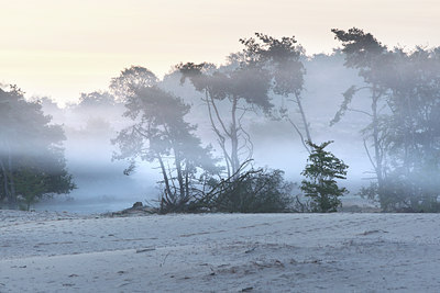 BUITEN BEELD Foto: 105271