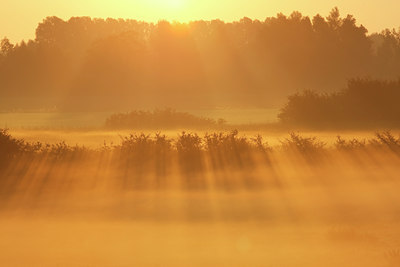 BUITEN BEELD Foto: 105275