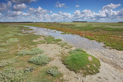 BUITEN BEELD Foto: 105279