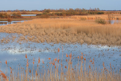 BUITEN BEELD Foto: 105281