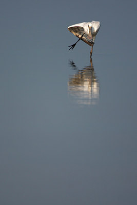 BUITEN BEELD Foto: 105288