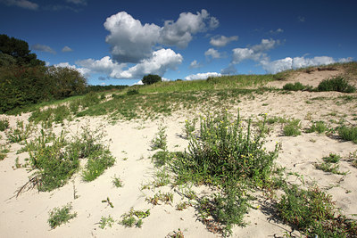 BUITEN BEELD Foto: 105300