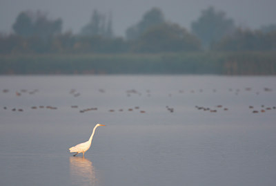 BUITEN BEELD Foto: 105318