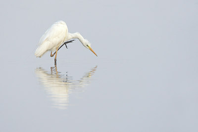 BUITEN BEELD Foto: 105321