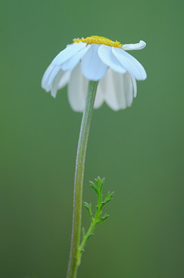 BUITEN BEELD Foto: 105356