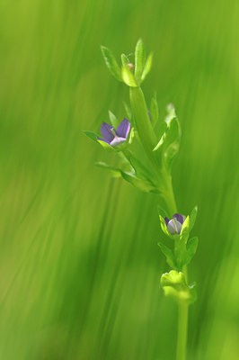 BUITEN BEELD Foto: 105360