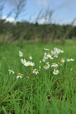 BUITEN BEELD Foto: 105377