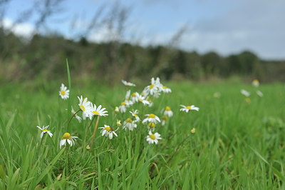 BUITEN BEELD Foto: 105378
