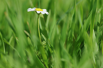 BUITEN BEELD Foto: 105385