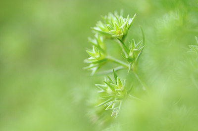 BUITEN BEELD Foto: 105387