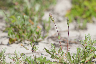 BUITEN BEELD Foto: 105406