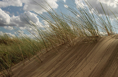 BUITEN BEELD Foto: 105482