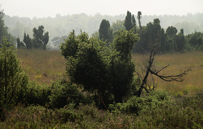 BUITEN BEELD Foto: 105514