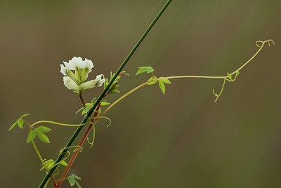 BUITEN BEELD Foto: 105531