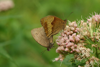 BUITEN BEELD Foto: 105563