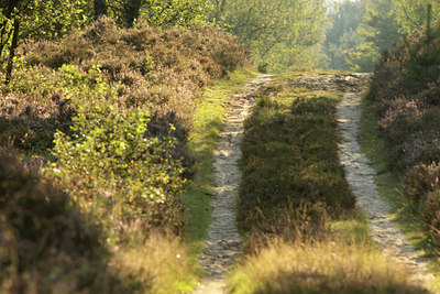 BUITEN BEELD Foto: 105592
