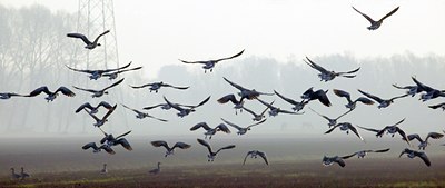 BUITEN BEELD Foto: 105611