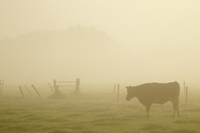 BUITEN BEELD Foto: 105633